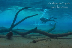 Divers in Blue, Las Estacas Mexico by Alejandro Topete 
